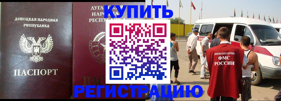 прописка 2025 в Кольчугино